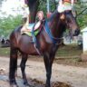 Foto: Kuda Renggong Citra Kencana